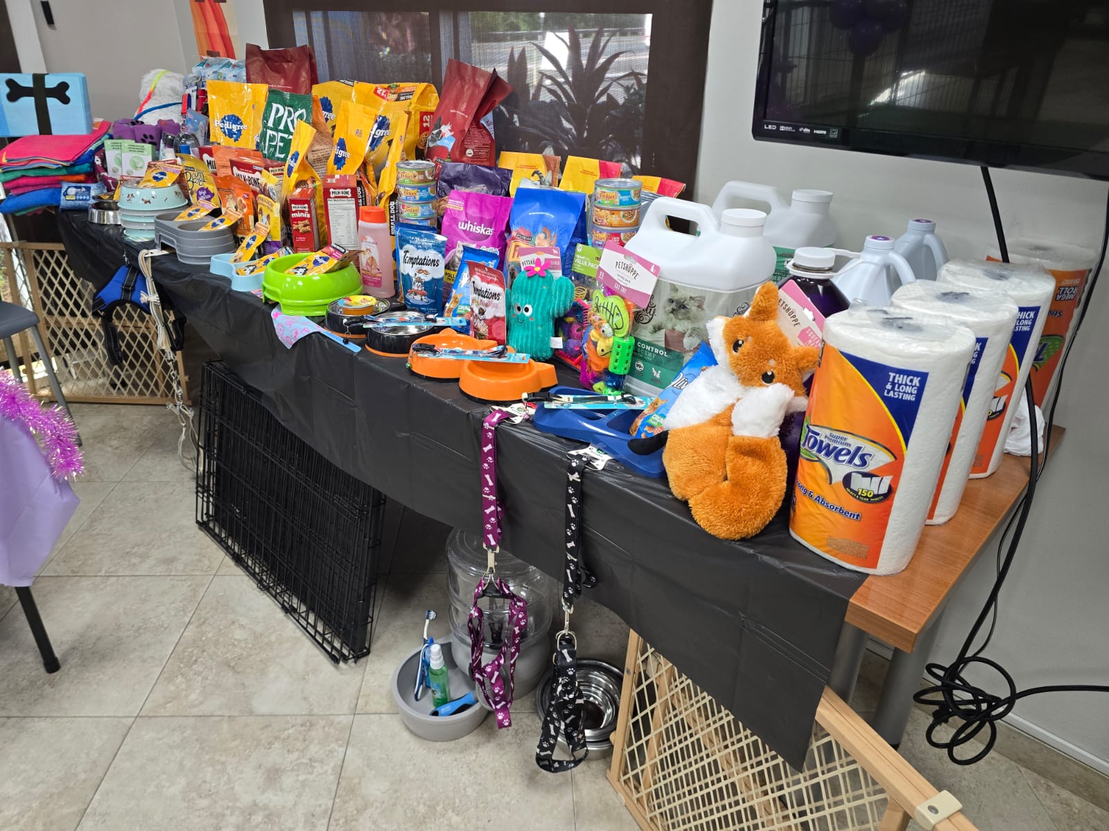 Juntos por el bienestar animal y la salud emocional